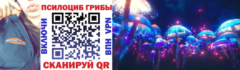 хочу   Кыштым  Галлюциногенные грибы Cubensis 